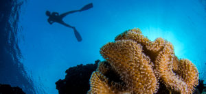 DIVE LOFT KRK - Tauchen in Kroatien - Preise